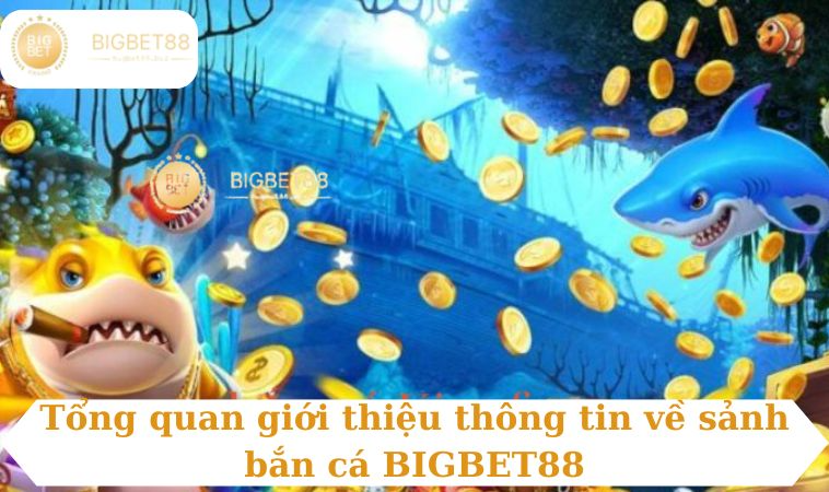 Tổng quan giới thiệu thông tin về sảnh bắn cá BIGBET88